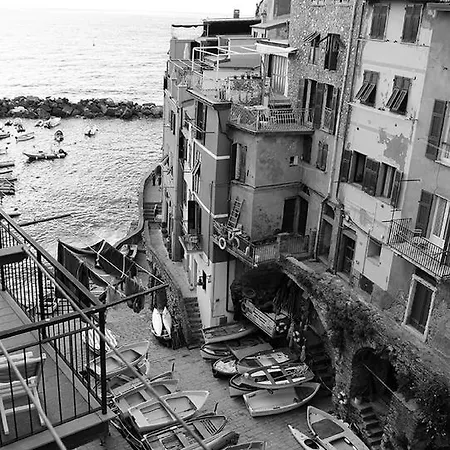 Stellio - Affittacamere *